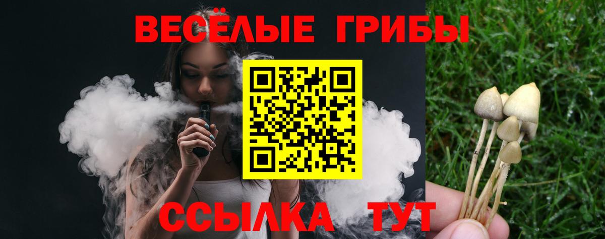 Десногорск  Псилоцибиновые грибы ЛСД  Вход с VPN 